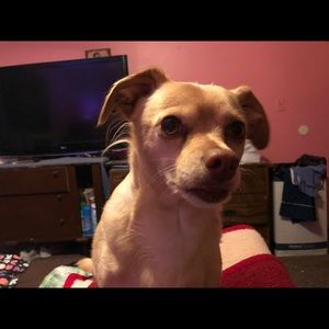 Meet your Posher, Fran